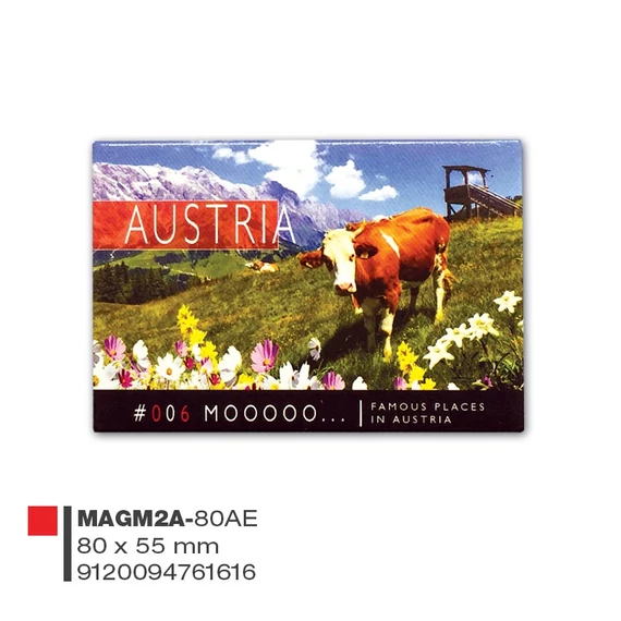 Metall Magnet